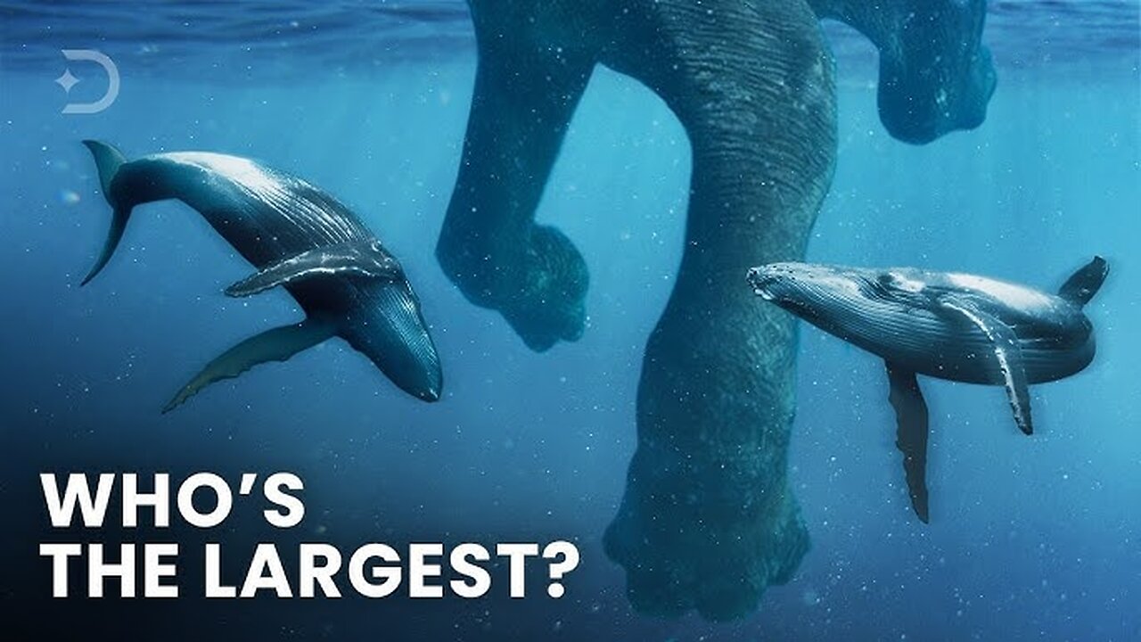 Largest Creatures To Ever Exist On Earth. Size Comparison (PART 1)
