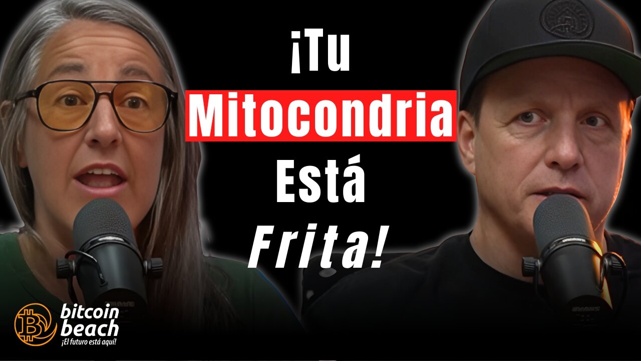 La Razón Principal Por La Que Los Bitcoiners Sanos Se Sienten Fatal Y La Solución Descentralizada