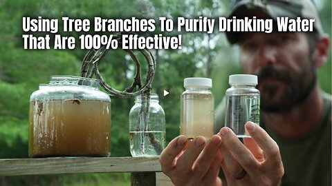 Using Tree Branches To Purify Drinking Water That Are 100% Effective!