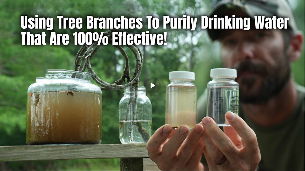 Using Tree Branches To Purify Drinking Water That Are 100% Effective!