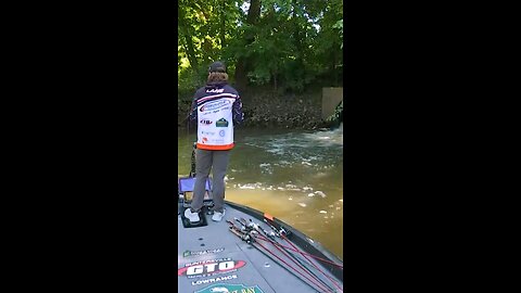 Cal Lane targets inflow for largemouth