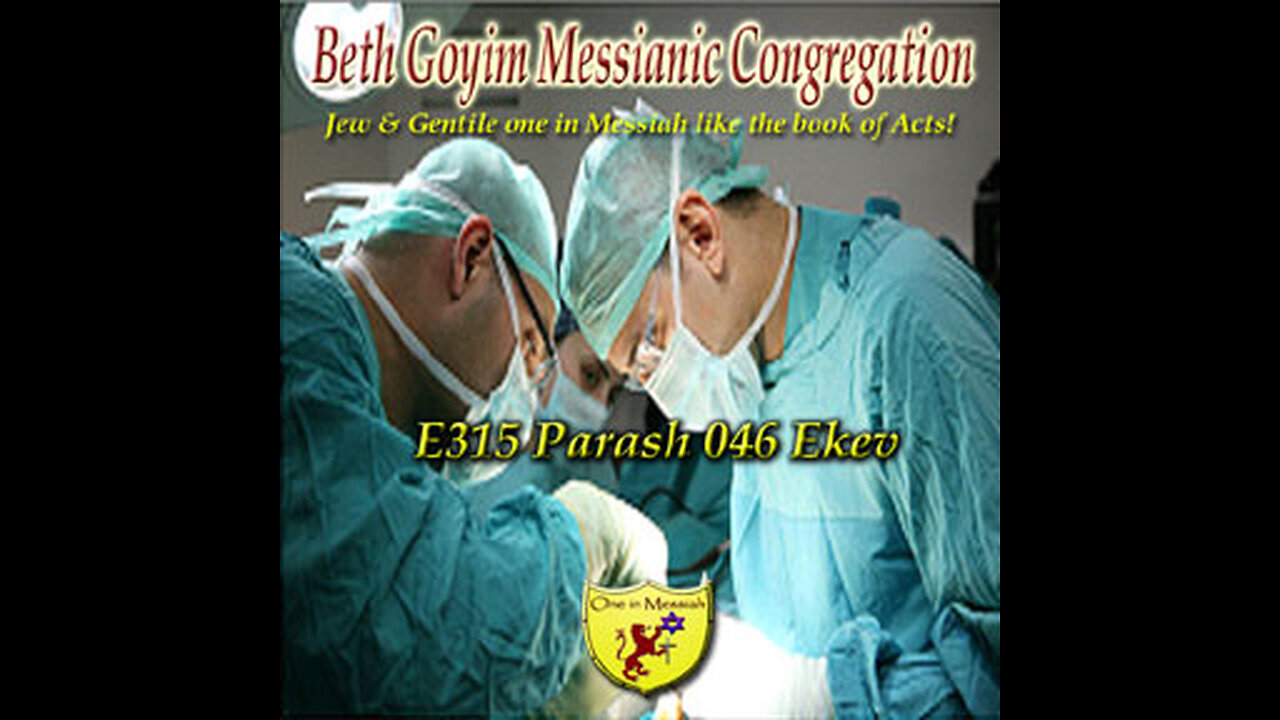 BGMCTV E315 Parash 46 Ekev D’varim (Deut) 7:12-11:25