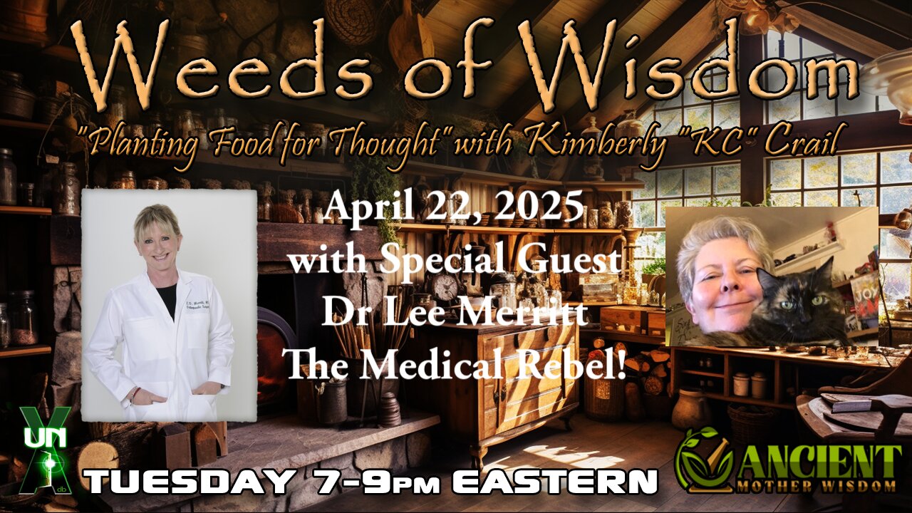 WoW - Dr Lee Merritt