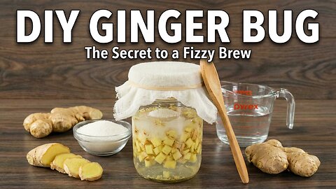 Ginger Bug: What You've Been Missing