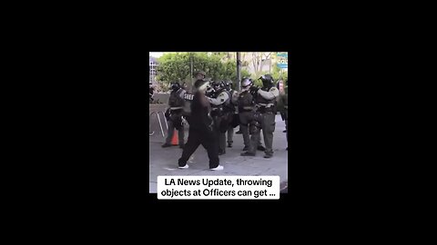 LA protestor tackled by citizen