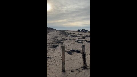 somerset brean