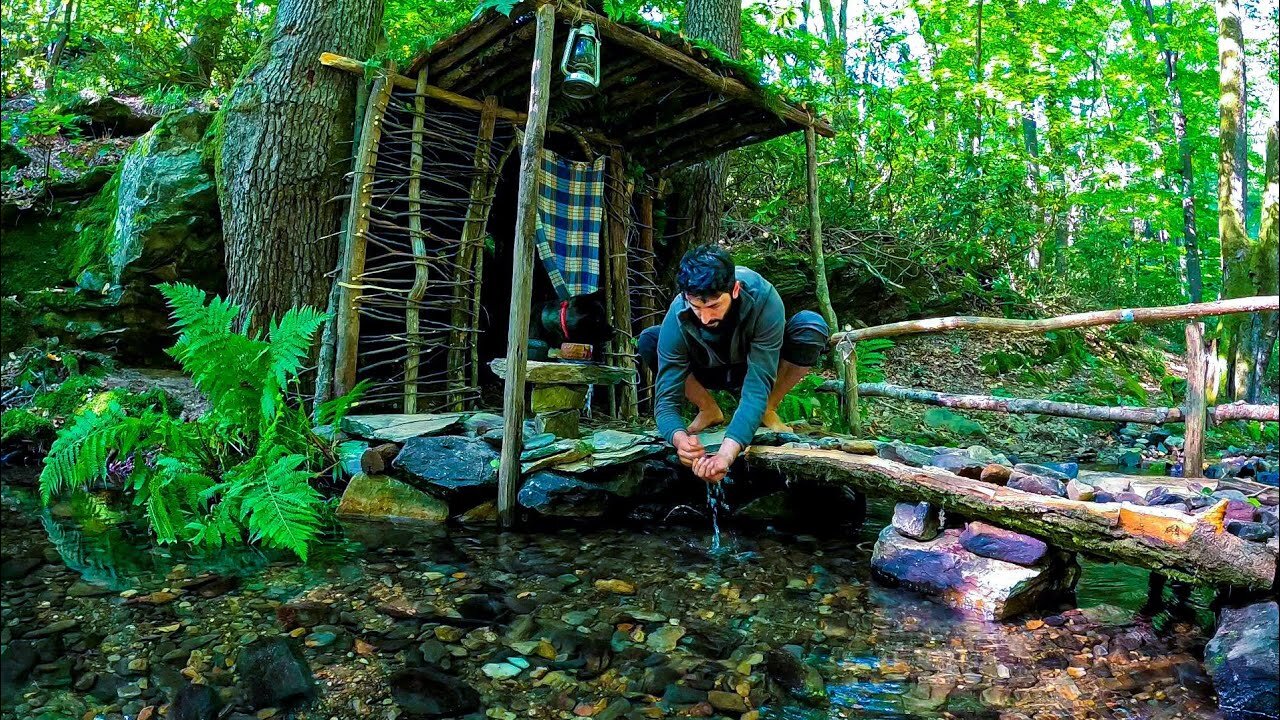 Camping for seven days in a rain forest