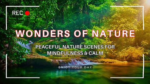 Wonder | Relaxation Music with Peaceful Nature Scenes for Mindfulness & Calm