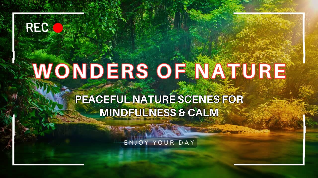 Wonder | Relaxation Music with Peaceful Nature Scenes for Mindfulness & Calm