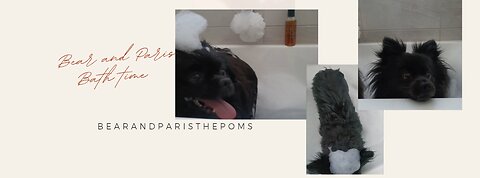 Bath time 🐕🐾🛁🫧🫧🐕