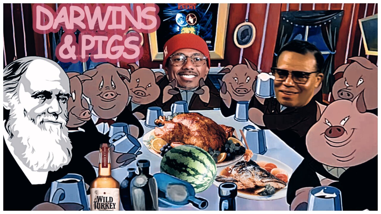 Darwins & Pigs