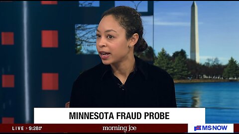 Did MS NOW Guest Just Claim Minnesota Fraud Is Because Of "Weaponization" Of The DOJ?!