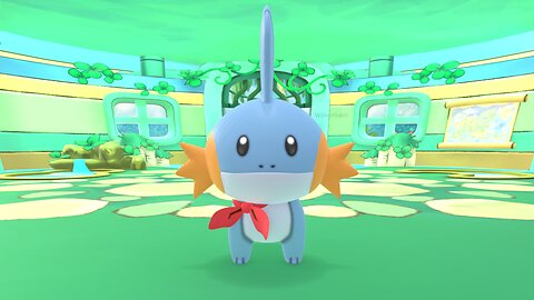Mudkip First Person Mirror POV Post Transformation Pokemon Mystery Dungeon Animation