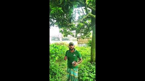 ভালোবাসা মানে এখন শুধু একটা পোস্ট আর তুঁতে রিলেশন!