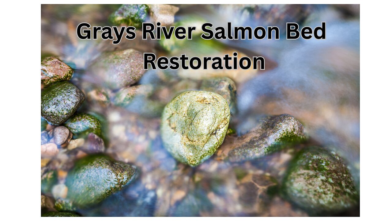 Grays River Salmon Bed Restoration
