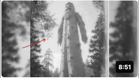 "Unusual Occurrence Spotted on the Peninsula"
