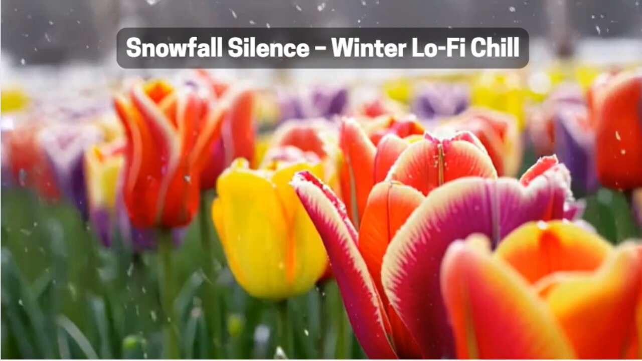 Snowfall Silence – Winter Lo-Fi Chill