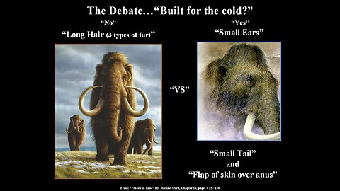 Built for the cold? (Part#1)