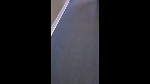 conversation with the cheif