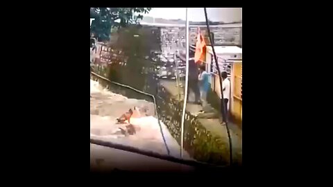 Look, some people are ready to help a dog 🐶😮