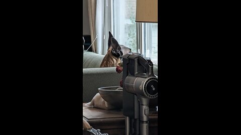 First AI video of my Ford