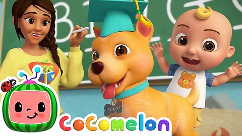 Bingo's First Day at School! 🐶 Baby JJ's BINGO Spelling Song | CoComelon Nursery Rhymes & Kids Songs