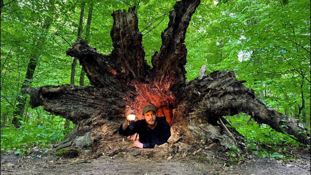 Building a Secret Dugout Inside a Hollow Tree | The Most Hidden Bushcraft Shelter