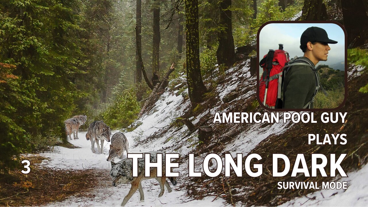 The Long Dark Survival Playthrough | Part 3 | Chat Focused Stream