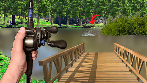 Fishing For Giant BASS In A Loaded Pond (Record Day Of Fishing)