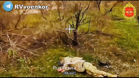 🇷🇺 If you meet a bear🐻 , pretend to be dead