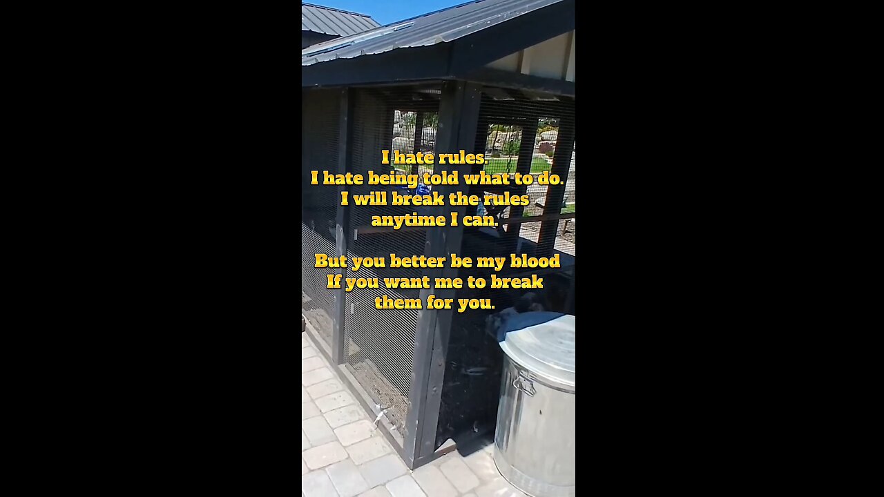 I Hate Rules.