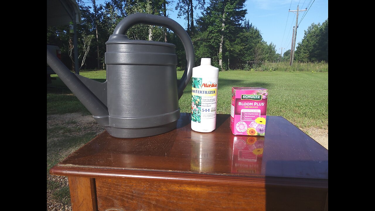 5th Fertilizing Of Our Hossinator And Brandywine Container Tomato Plants 6/29/25