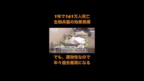 2024年の人口動態統計