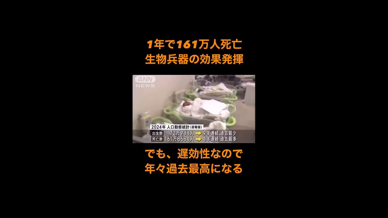 2024年の人口動態統計