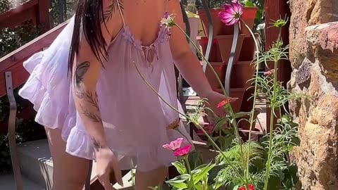 small garden🤗🤗