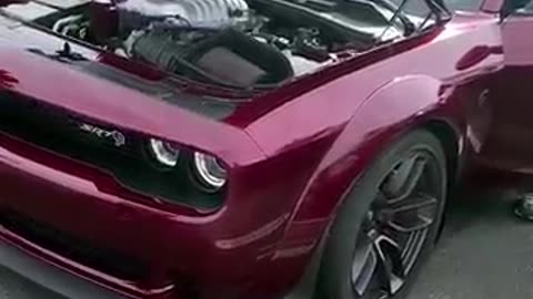 Dodge Challenger the American muscle car