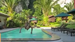 Funny video