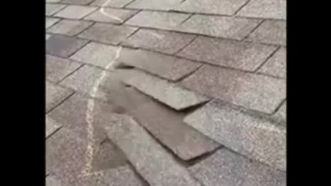 6 nails per shingle!