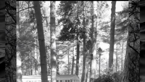 😱👻 The Scariest Ghost Sighting I've Ever Seen! | TheHauntingHour