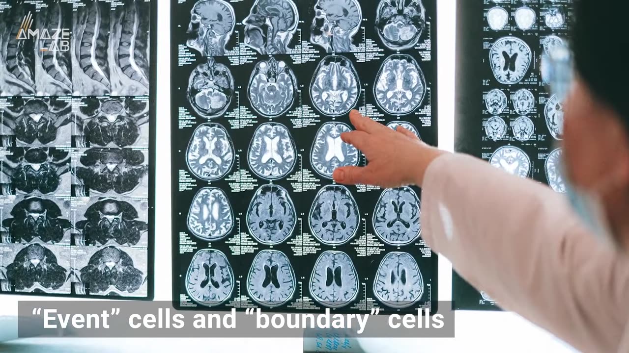 Forming Memories is Like Creating Folders on Your Computer, Study Finds
