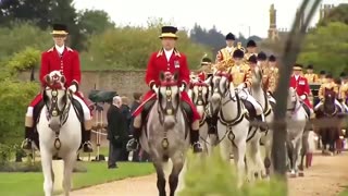 I SHOULD TOTALLY RIDE A CARRIAGE BACK TO WORK THIS WEEK!!!😎👑🤣🤣🤣