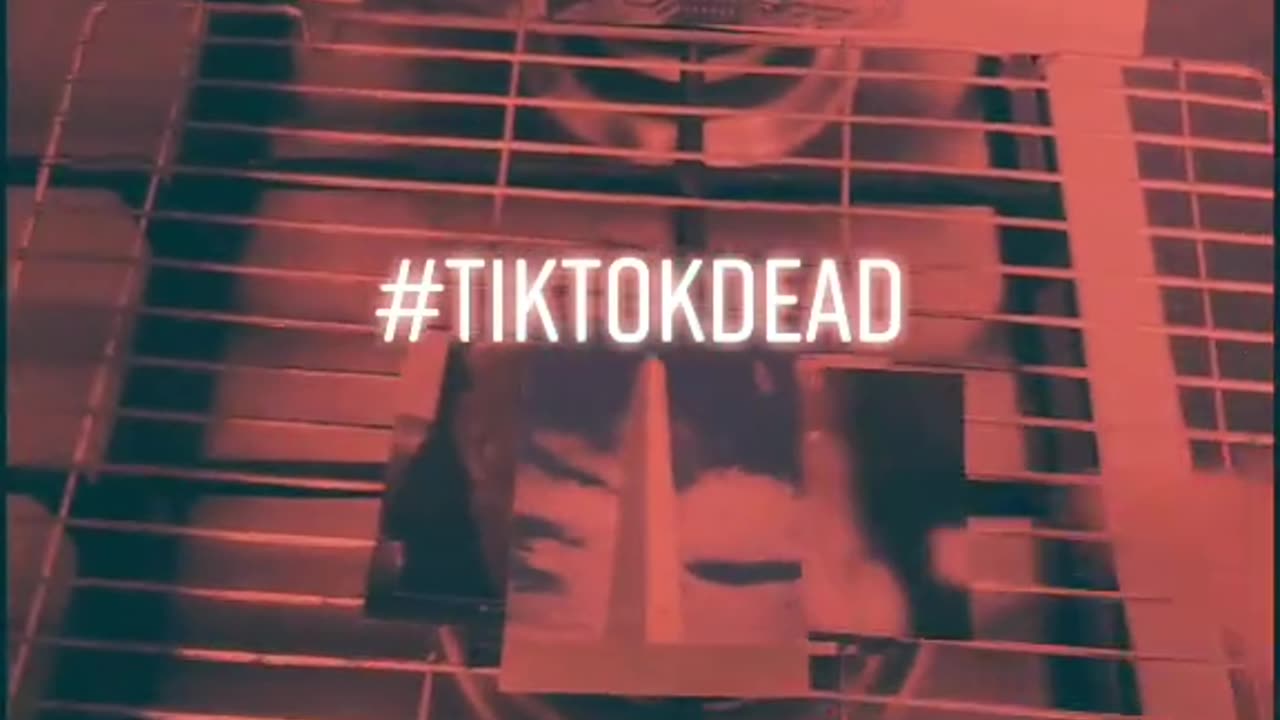Tim Rifat TikTok Videos