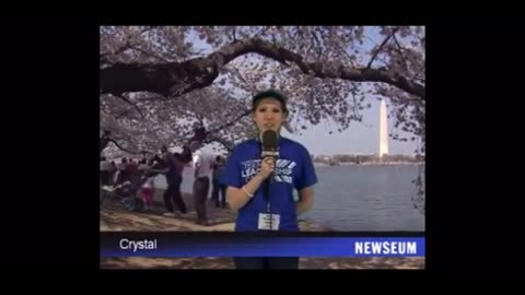 News report wild cougar