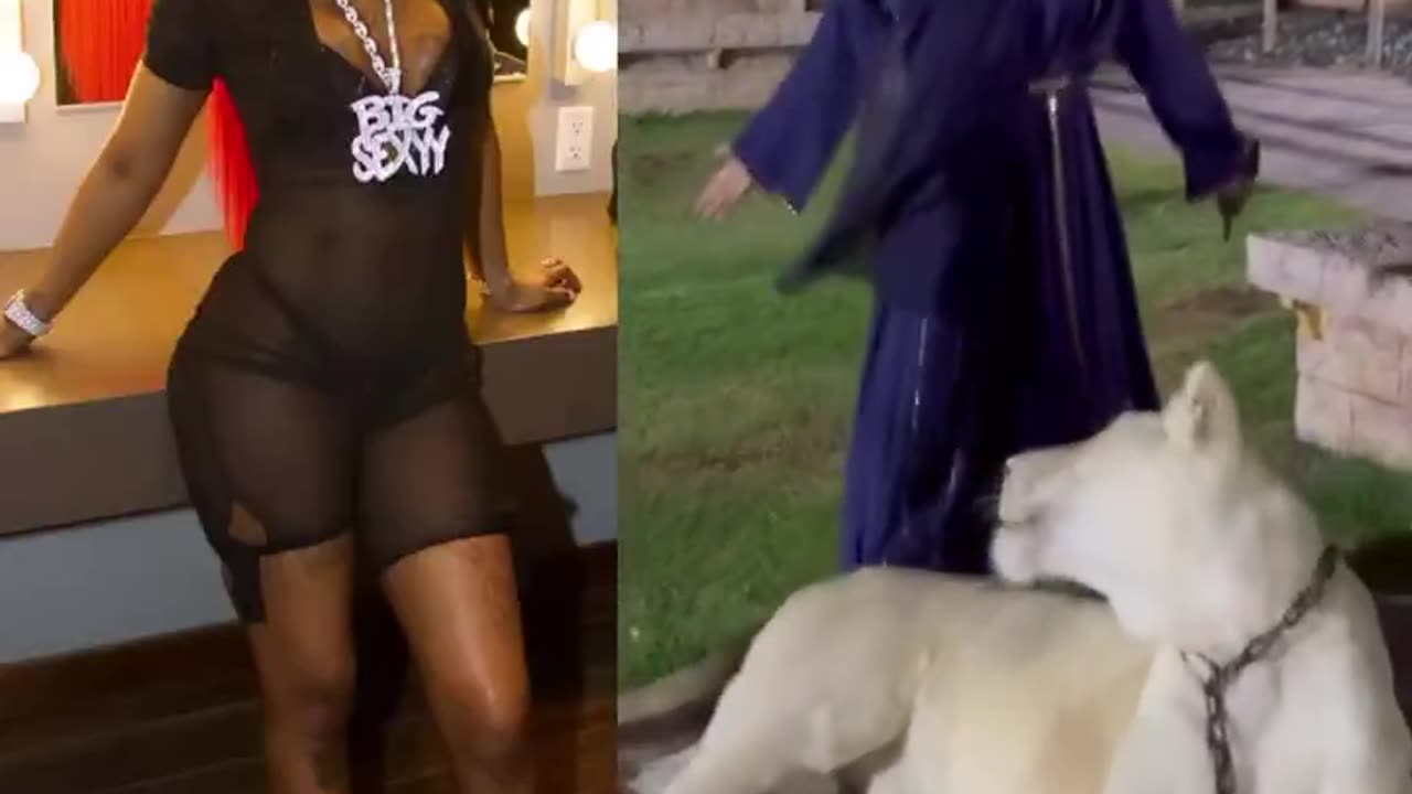 Sexyy Red tries to pet a white lion but quickly regrets it.