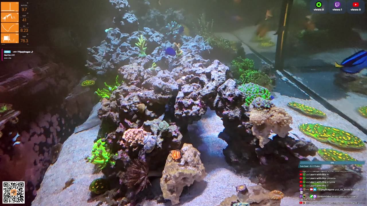 24/7 Real Live Reef Stream