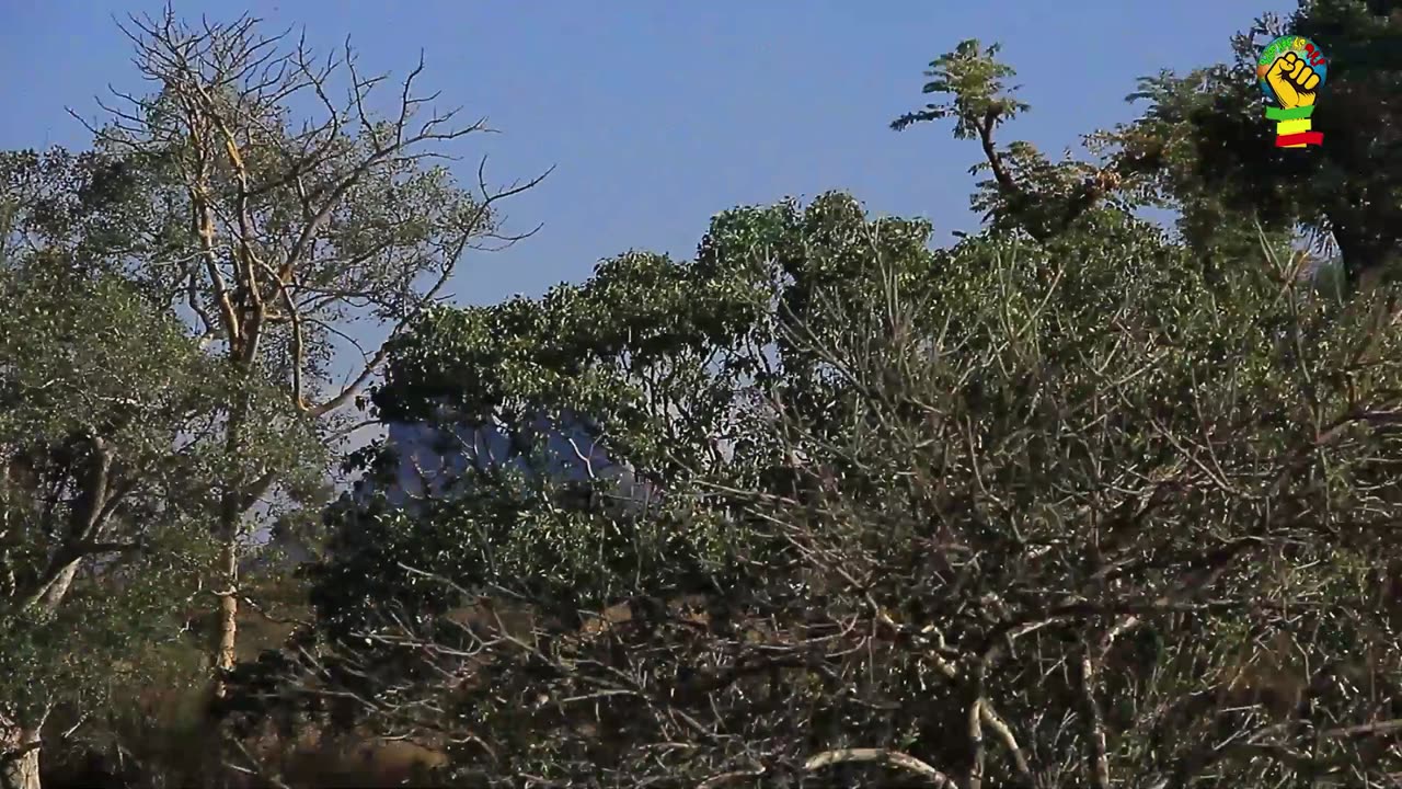 ሰበር ዜና | በላሊበላ ከተማ ጦሩ ተደመ *ሰ-ሰ | የፋኖ አመራሩ ማብራሪያ ሰጠ | አዲስ ክፍለጦር ተዋቀረ | Daily News