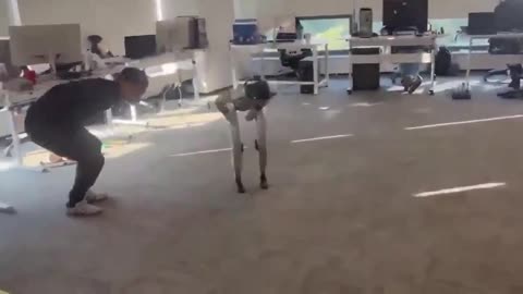 Testicular Impact Kinematics.