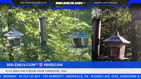 BIBLENKJV.COM™ 🛐 09/08/2025 #LIVE #WEATHER #KNOXVILLE
