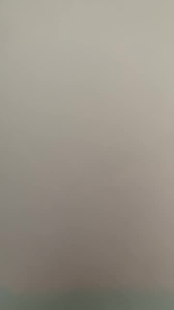 I DO NOT believe that Elon Musk is the False Prophet of Revelations