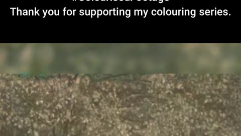 British Snipers Test Camouflage in the Field #ColourisedHistory